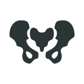 Pelvic Bone Icon